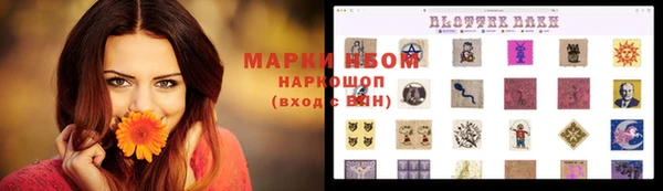 стаф Бронницы