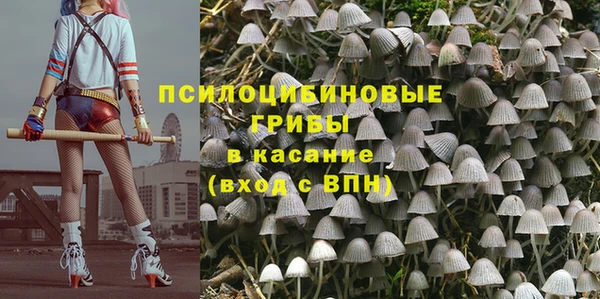 марки nbome Богданович