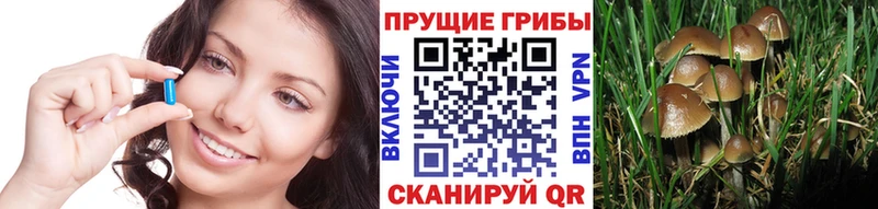 Псилоцибиновые грибы Cubensis  Кострома 